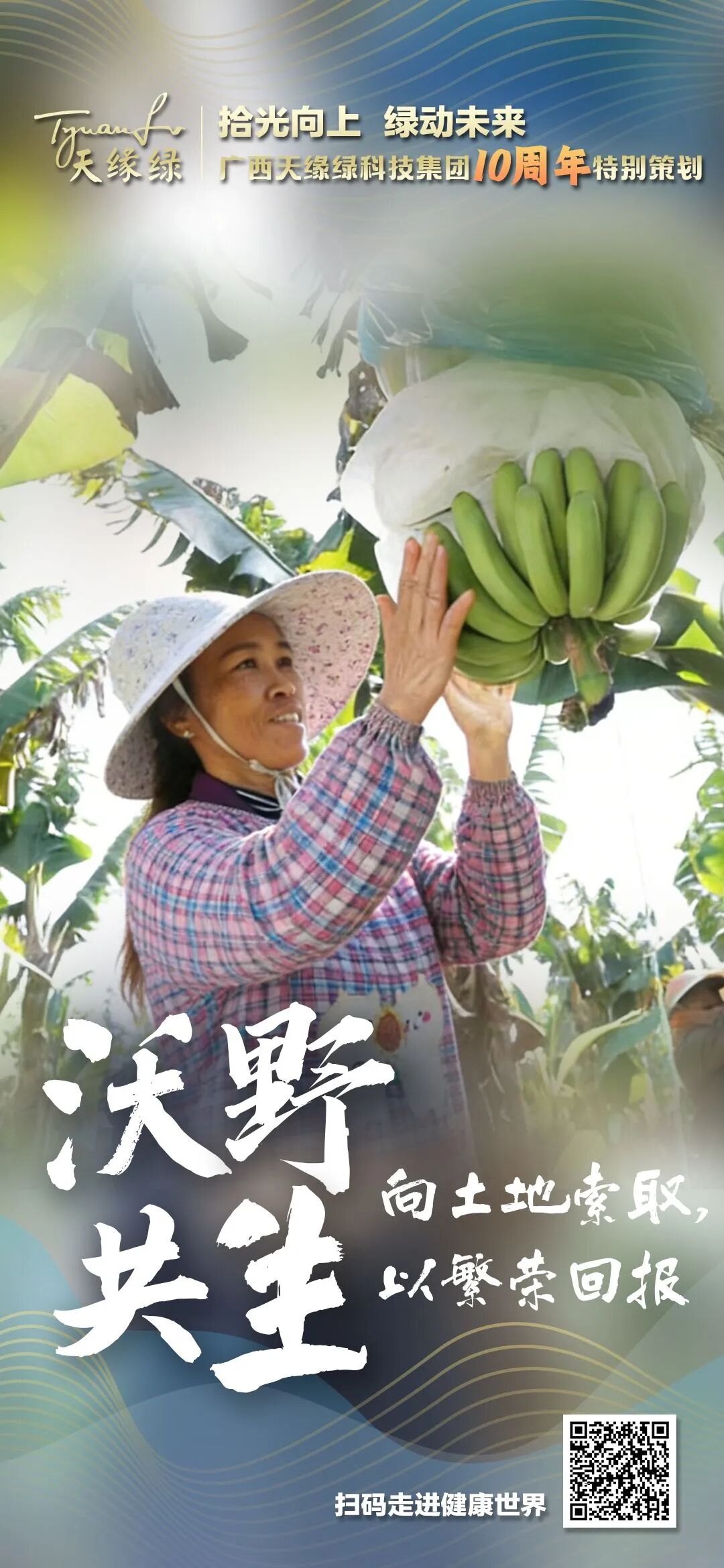 标准定乾坤 | 广西芭蕉根食品安全地标发布，天缘绿以“硬核标准”守护3·15品质底线