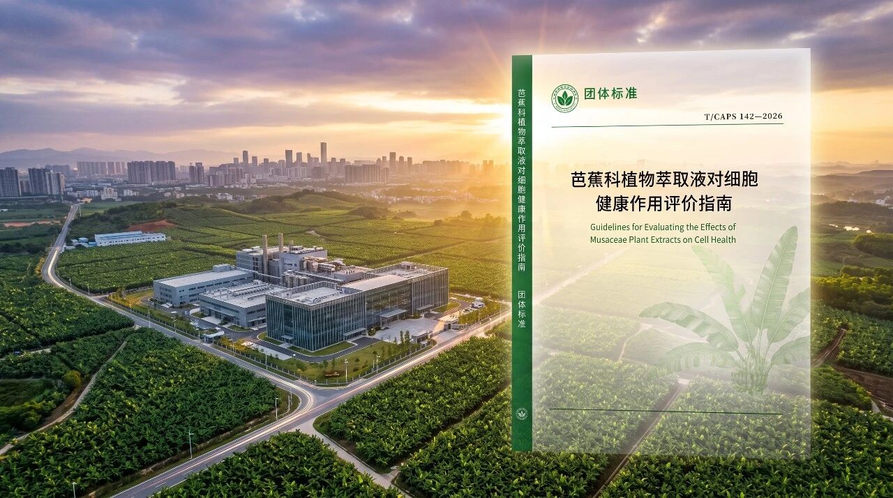 一份芭蕉科团体标准的五个月：从立项到实施，它经过了什么